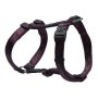 Rogz Pet Products Rogz Alpinist Large 20MM K2 Dog H-harness Purple Rogz