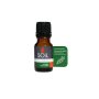 Aromatherapy Oil 10ML Thyme