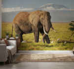 African Wall Mural Kilimanjaro Elephant Art