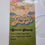 Groovy Record Inner Sleeves: Pack Of 25