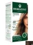 Hair Colours - 6D Dark Golden Blonde