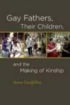 Gay Fathers Their Children And The Making Of Kinship Hardcover