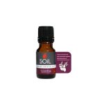 Aromatherapy Oil 10ML Patchouli