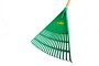 Rakes Fan “elitez” Green With Wooden Handle 20 Teeth