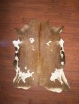 A Grade Nguni Hide 143 Brown white XXL - Extra Extra Large Brown white Solid