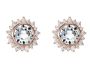 Sunshine Studs With Swarovski Clear Crystal Rosegold