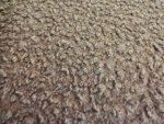 Sherpa Melton Fleece