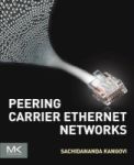 Peering Carrier Ethernet Networks Paperback