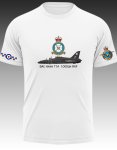 Bae Hawk T1A 100SQN Raf