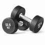Premium 12.5KG Rubber Coated Round Dumbbell