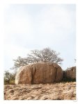 Highveld 1 Art Print - A1