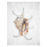 Spring Tide 3 Art Print - A2