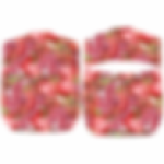 Fsc 0012 Peg Assorted