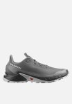 Salomon Alphacross 5