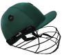 Wasp Baseball Cricket Helmet