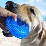 Dog Donut Design Molar Burr Ball Tpr Toys For Dog Interactive Oral Health Protection Supplies