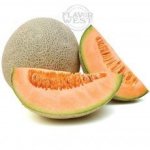 Cantaloupe Concentrate - 50ML