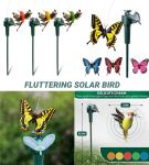 Zs - Fluttering Solar Bird - Hummingbird