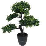 317220120-2 Bonsai Tree In Pot 50CM