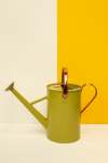 4.5L Watering Can - Olive Grove