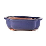 Assorted Glazed Bonsai Pots 10" - Blue Rectangle 26 X 21 X 7CM