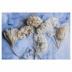 Floral Cream Bleached Hydrangeas On Blue Rectangular Placemat