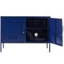 Steel Swing Door Tv Stand Lowdown Storage Cabinet - Navy Blue