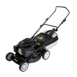 Talon Petrol Mowers - Lawnmowermecca.co.za