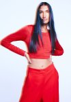 Embellished Cropped Top - Red