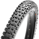 Assegai 2.50 Wt 3CG DH TR