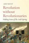 Revolution Without Revolutionaries - Making Sense Of The Arab Spring Paperback