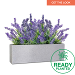 Planted Curo Trough Sun - Amper