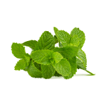 Mix Mint Concentrate - 10ML