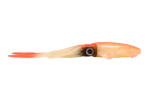 Phantom Squid Orange Glow 20G