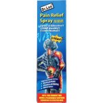 Impulse Dr Lee Pain Relief Spray 100ML