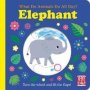 What Do Animals Do All Day?: Elephant - Lift The Flap Board Book   Board Book