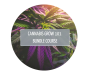 Cannabis Grow 101 Bundle Course - 20TH Oct