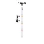 NB139 - - D11 D101 D110 H1S - 12X40MM - 160 Zoo Labels