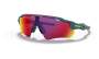 Oakley - Radar Ev Path - Matte Balsam/prizm Road