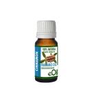 Cinnamon Fragrance Oil - 10 Ml