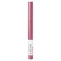 Maybelline Superstay Ink Crayon 250 Stay Exceptional