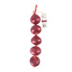 Red Onions 5 String