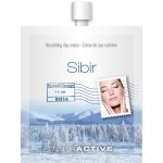 Terractive Sibir Nourishing Facial Cream 16G