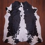 As Grade Nguni Hide 652 Tricolor XL - Large Tricolor Panelled
