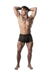 Show Stopper MINI Short