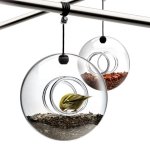 SOLO Eva Hanging Bird Feeder