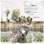 FSC2384 Printed Blanket Assorted