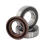 Bearing Kit & Oil Ring 11/14/21 Motor Service Kit
