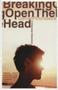 Breaking Open The Head - A Chemical Adventure   Paperback New Ed