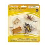 Safariology Lifecycle Of The Honeybee